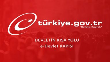 E-Devlet Nedir, Ne İşe Yarar Şifresi Nasıl Alınır