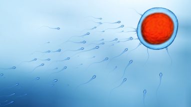 Sperm Testi İçin Nereye Gidilir Hangi Bölüm ve Tüm Sorular