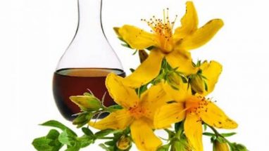 Kantaron Yağı Ne İşe Yarar 5 Faydası