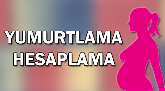 yumurtlama günü