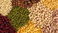 Yeşil Fasulye Kuru Fasulye Ne İşe Yarar