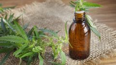 Kenevir Yağı Ne İşe Yarar , Faydaları Nelerdir