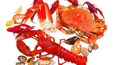 Kitosan Ne İşe Yarar