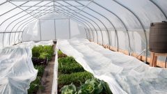 Sera Örtüsü Çeşitleri  Sera Örtüsü Nasıl Çekilir