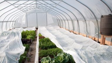 Sera Örtüsü Çeşitleri  Sera Örtüsü Nasıl Çekilir