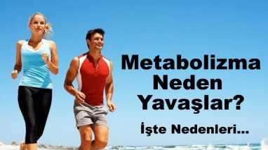 Metabolizma Neden Yavaşlar 6 Madde de İnceledik