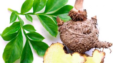 Konjac Bitkisi Ne İşe Yarar