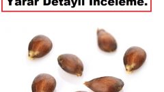 Ayva Çekirdeği Ne İşe Yarar