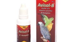 Avisol B Ne İşe Yarar