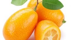 Kamkat Ne İşe Yarar  Kamkat Nedir Faydaları