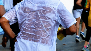 Terleme Ne İşe Yarar Sağlığa Faydaları Nelerdir