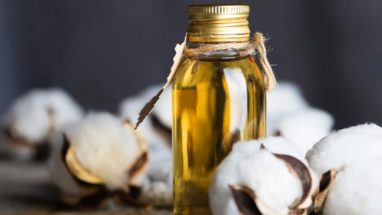 Pamuk Tohumu Yağı Faydaları Nelerdir