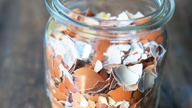 Yumurta Kabuğu Gübre Olur Mu? Nasıl Kullanılır