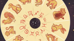 Çin Burcu Hesaplama Çin Burcu Özellikleri