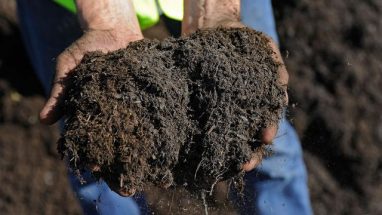 Gübre Ne İşe Yarar Gübre Çeşitleri Nelerdir